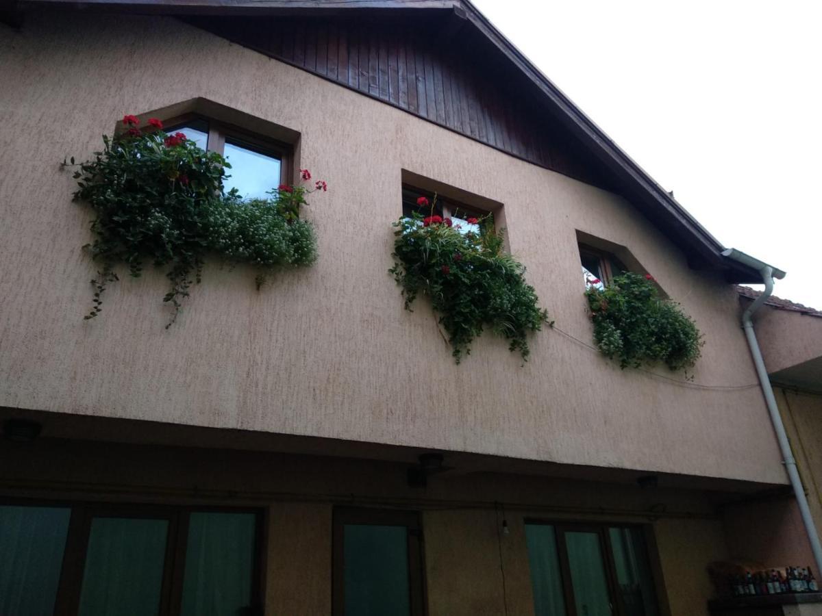 Ferienwohnung Casa Charlot Brașov Exterior foto